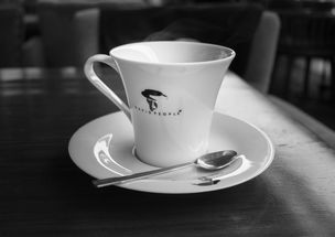 揭秘moc水杯，哪些品牌值得你拥有？