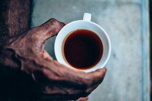 想卖品牌茶叶？看这篇全明白了！