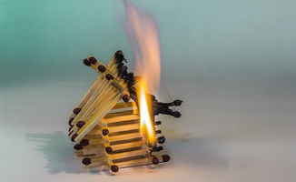 揭秘耐高温木铲子的品牌力量—热门品牌大盘点