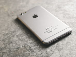 Vivox6s手机CPU品牌深度解析