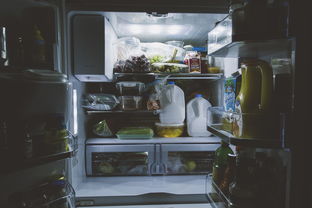 揭秘高级冰箱美食品牌，如何让家宴升级，享受星级美味