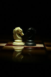 棋类墙面玩具推荐品牌，玩转智慧与乐趣的完美结合