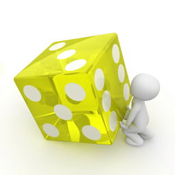 坚果品牌设计说明，从理念到实践的全方位解读