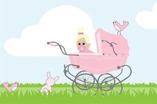 进口品牌婴幼儿童车深度解析，选购、使用与体验全攻略