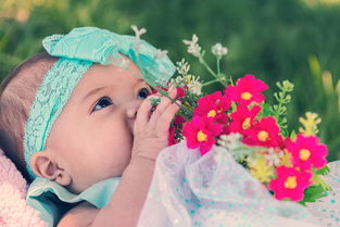 英国品牌婴儿牙刷，呵护宝宝口腔健康的贴心选择