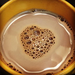 揭秘成人水杯刻度品牌，如何选对你的健康伴侣？