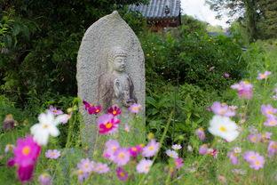 浙江省防火仿真植物品牌，绿色环保，安全美观两不误
