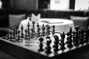 头条收购坚果品牌名称，迈向多元化战略的一步棋