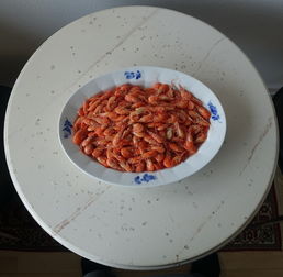 探索体育西餐界的美味佳肴