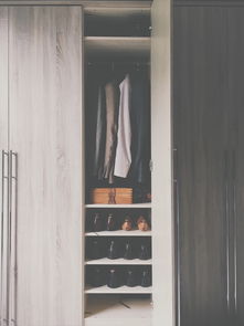 揭秘水龙头衣服品牌排行，谁才是你的衣橱新宠？