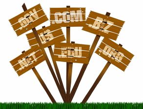 美国概念游戏机品牌大盘点
