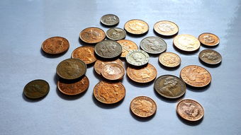 金铲子品牌背后的故事，究竟属于哪家公司？