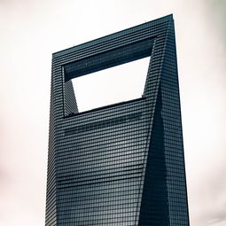 最新中国十大品牌板材深度解析