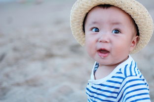 二十年前幼儿玩具品牌回顾，那些陪伴我们成长的经典记忆
