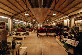 齐鲁建材市场灯具品牌概览