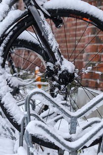 车铲雪专用铲子品牌大盘点