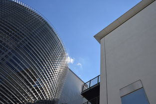 东莞全屋吊顶十大品牌大揭秘