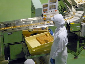 打印机品牌注册全攻略，你需要了解的几个关键品牌