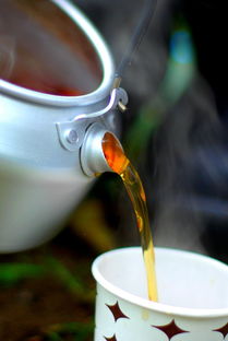 便宜又好看的奶茶品牌大解析