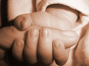 婴幼儿陶瓷勺子推荐品牌大盘点，呵护宝宝嘴健康！