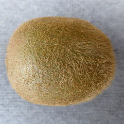高档花梨木铲子品牌大解析，排行榜及案例解读