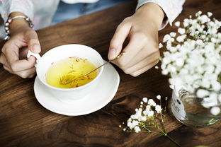 辽宁有机茶叶品牌，传承绿色精粹，缔造健康茶道