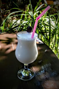 酸奶蛋糕品牌，品质与创新的完美结合