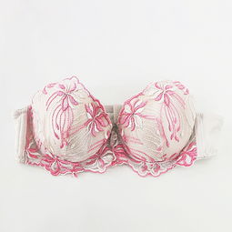 选购圆盘胸内衣品牌指南