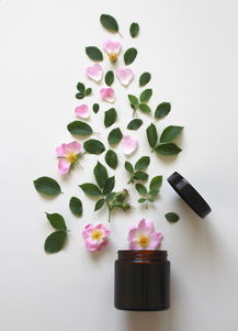 高档化妆品蛋糕品牌，绽放美丽与品质的完美融合
