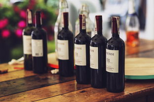 中国十大白酒品牌，深度解析与品味之旅