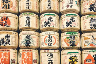 实木油漆品牌解析，哪个更适合你？