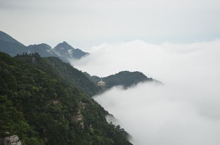 板材十大品牌莫干山生态