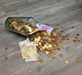 硅胶蛋糕模品牌全解析，品质、案例与选择之道