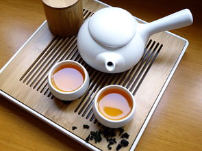品牌水杯大比拼，看谁才是你的杯中佳品！