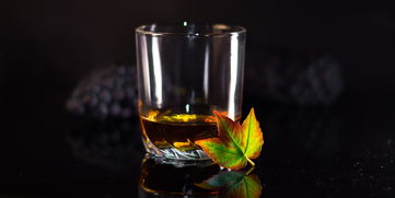 江苏好喝不辣白酒品牌大盘点