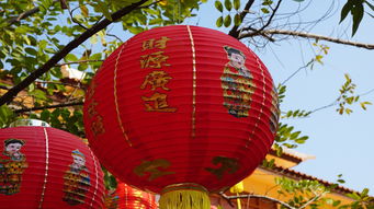 中国灯具品牌精选