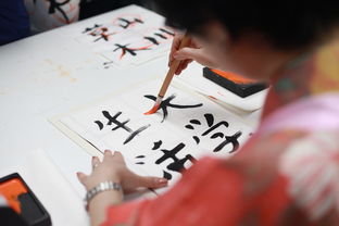 书法爱好者必看！盘点几款日本品牌书法专用笔