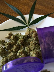 艾草卫生巾品牌评测，天然草本，呵护女性健康