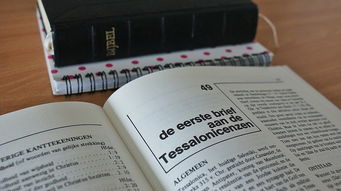 中餐厅品牌打造的成本分析