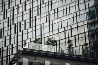 建筑工地常用板材品牌及案例分析