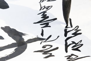 对话中国品牌，书法艺术中的品牌魅力