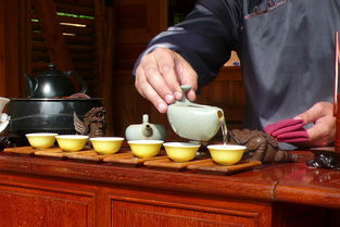 大铁山品牌茶叶，品质卓越，传承经典