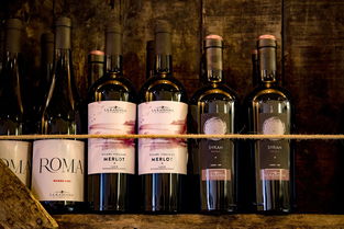 中国十三大白酒品牌深度解析