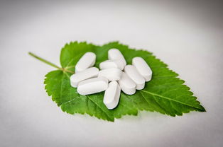 食用油品牌新品种有