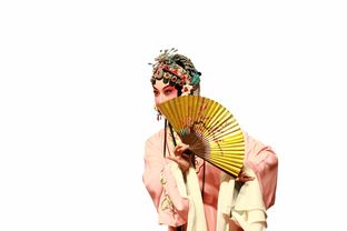 童装汉服品牌图，传统与时尚的完美融合