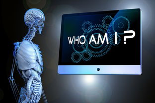 揭秘世界手术机器人品牌，谁在引领未来医疗手术的革命？