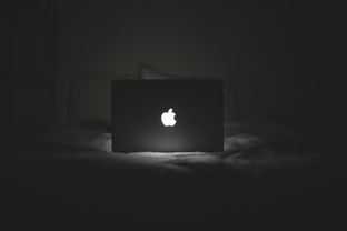 苹果旗下耳机与游戏机品牌，深度解析与体验分享