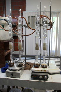 衡水布袋除尘器的品牌与案例分析