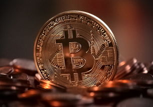 全球手机品牌概览与案例分析