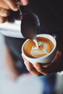 上海能发货的茶叶品牌大解析